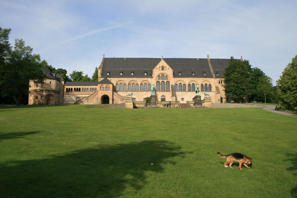 Fachwerkferienhaus Helmbrecht Goslar Eksteriør bilde